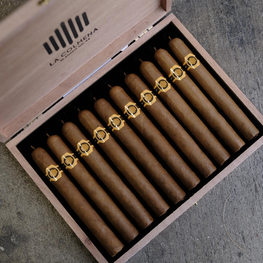 Warped La Colmena Amado No. 44 - DROP Cigar Club