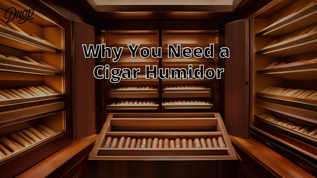Why You Need a Cigar Humidor